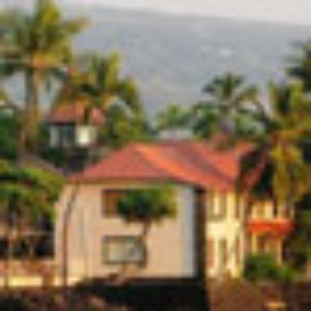 Gaona's Taco House and Restaurant